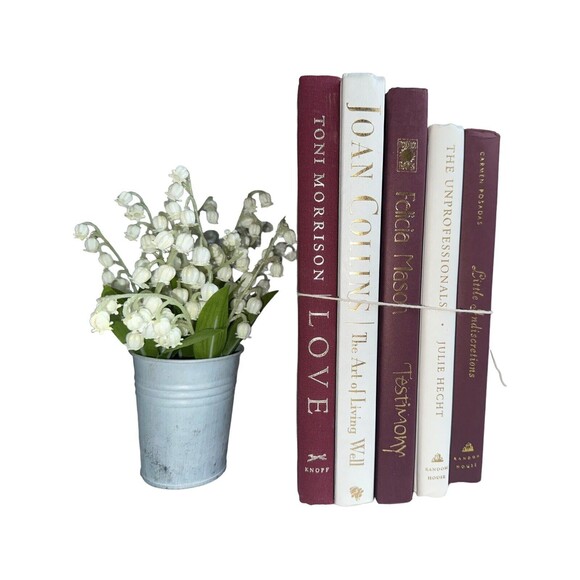 Vintage Hardcover Book Decor BURGUNDY+ WHITE Shelf Staging Props Home Decor - Picture 5 of 15